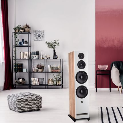 Davis Acoustics Krypton 10 jasny dąb - zdjęcie 3