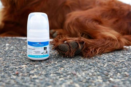 Francodex Preparat Do Pielęgnacj Łap W Kulce Dla Psa I Kota 70Ml - zdjęcie 2