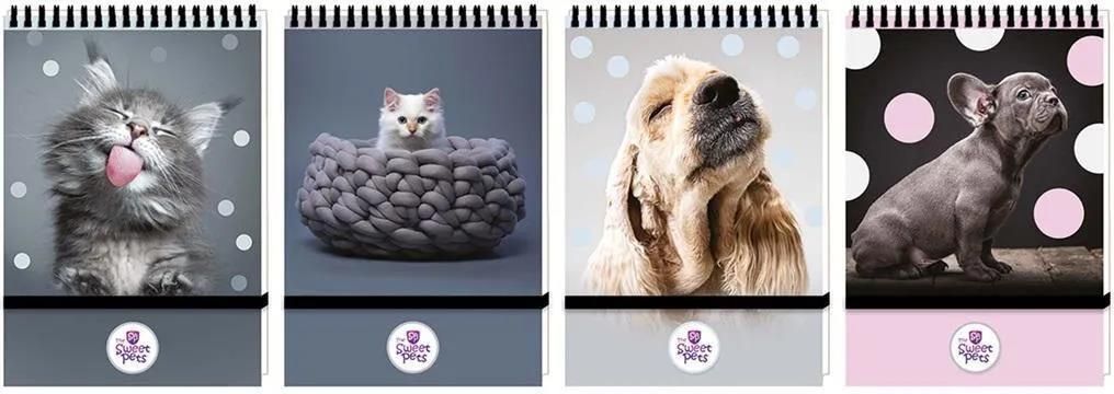 Zdjęcie Kołonotes A6/96K Kratka Na Gumkę The Sweet Pets - Lubniewice