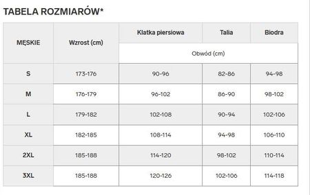 4F Bluza Dresowa Nierozpinana Bawełna Szara M0705/BLM001b r. L - zdjęcie 2