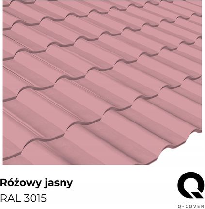 Farba Podkładowa Do Dachu Ceramicznego Różowy Jasny Ral 3015 Półmat 5L - zdjęcie 2