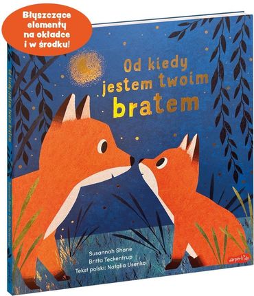 Od kiedy jestem twoim bratem - zdjęcie 2