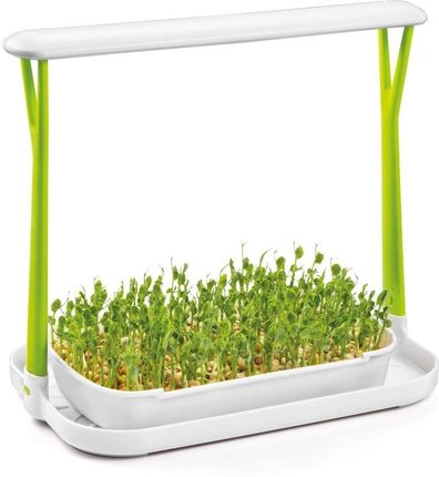 Sense Zestaw Do Uprawy Microgreens (89909800) - zdjęcie 2
