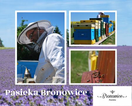 Pasieka Bronowice Pyłek Pszczeli Kwiatowy 220G - zdjęcie 2