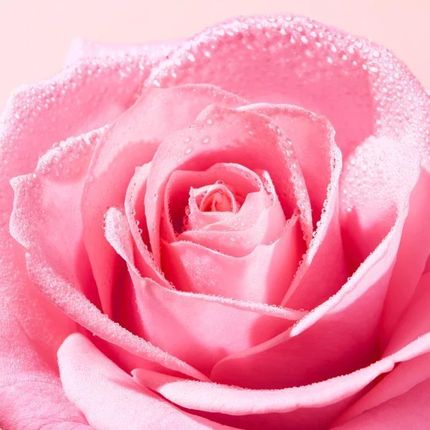 Nuxe Very Rose Oczyszczająca Pianka Micelarna 150ml - zdjęcie 5