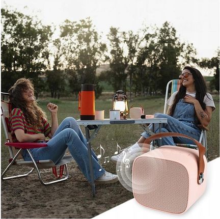 PRZENOŚNY GŁOŚNIK ZESTAW KARAOKE BEZPRZEWODOWY MIKROFON BLUETOOTH USB - zdjęcie 3