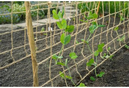Nature Siatka Na Pnącza Z Juty 1X3M Naturalna 447514 - zdjęcie 2