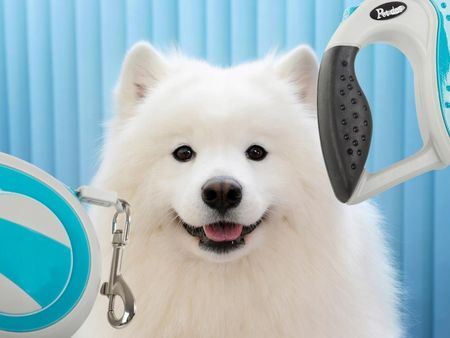 Smycz Automatyczna 5M Mocna Dla Psa Do 20Kg Z Blokadą Wytrzymała Długa - zdjęcie 5