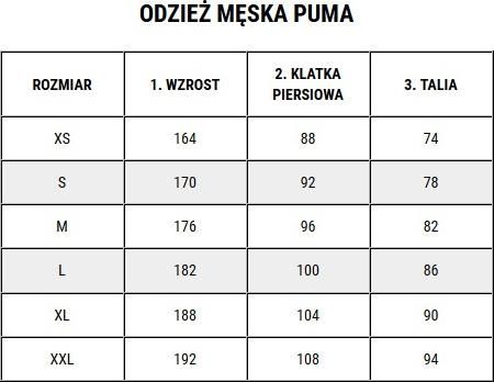 Koszulka męska Puma Ess Small No.1 Logo Tee szara 682534 03 - zdjęcie 2