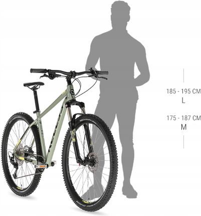 Kellys Spider 50 Czerwony 29 2025 - zdjęcie 3