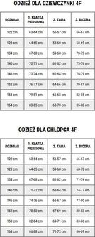 Polar dla chłopca 4F M212 złoty 4FJWAW24TFLEM212 74S - zdjęcie 2