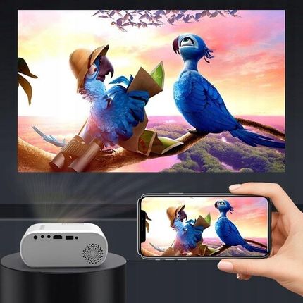 Zenwire Mini D300S (VQRF31E9A6ZFZXI) - zdjęcie 5