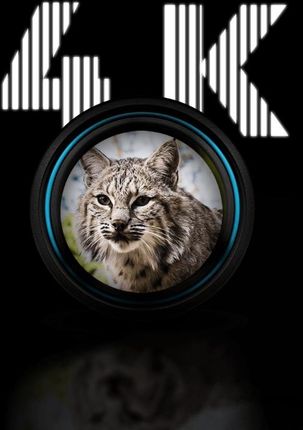 Pard Luneta Noktowizyjna Night Stalker Ns4 4K Lrf 100Mm 850Nm +64Gb+Kubek NS4100850LRF - zdjęcie 2