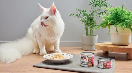 John Dog For Cats Filety Kurczak 140G - zdjęcie 2