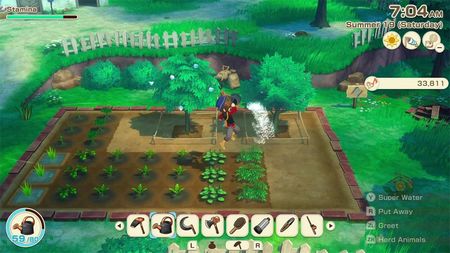 Story of Seasons Grand Bazaar Limited Edition (Gra NS) - zdjęcie 5