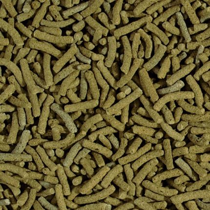 Tropical Koi&Goldfish Spirulina Sticks 50L 4Kg Pokarm Dla Ryb 1817126628 - zdjęcie 2