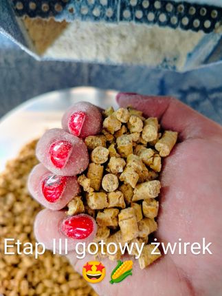 Żwirek Kukurydziany Gruboziarnisty Ekotek 25L Dla Kotów 15kg Plus 1818372829 - zdjęcie 3
