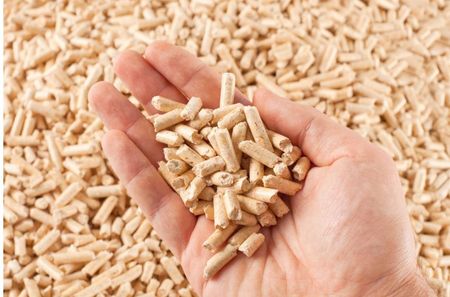 Żwirek Drewniany Pellet Jasny 15Kg Dla Kota Królika Gryzonia Świnki Chomika 1816827181 - zdjęcie 2