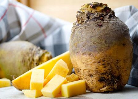 Nasiona Brukiew Jadalna Wilhelmsburger 10G Spójnia Plenna Trwała 326208 - zdjęcie 2