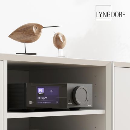 Lyngdorf TDAI-2210