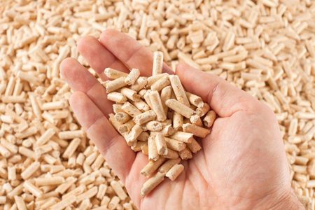 Pellet Żwirek Drewniany Dla Kota Świnki Chomika Królika Zwierząt 10Kg XL - zdjęcie 2