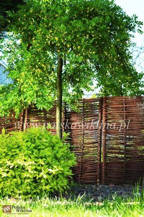 Płotek Wiklinowy Obrzeże 100X40 Palisada 5szt. - zdjęcie 3
