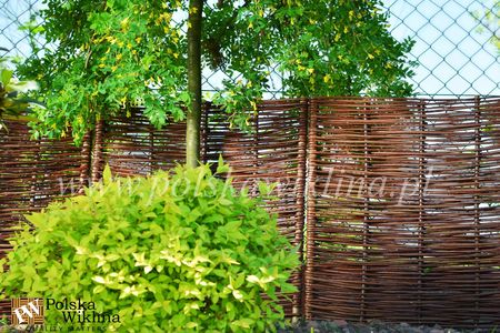 Płotek Wiklinowy Obrzeże 100X40 Palisada 5szt. - zdjęcie 2