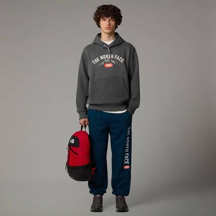Bluza z kapturem męska The North Face VARSITY szara NF0A89DJDYY - zdjęcie 2