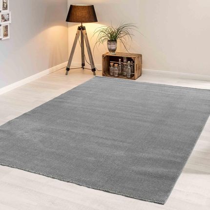 Astra Domaso W 4 Rozmiarach I 5 Kolorach Szary 160X230Cm - zdjęcie 2