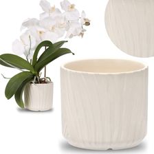 Zdjęcie Gardena Ecru Osłonka Na Doniczkę Ceramiczna 19,5X19,5X17cm - Bartoszyce