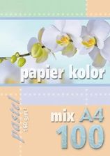 Zdjęcie Kreska Papier Kolorowy Pastelowy A4 100 Kartek 160 G/M2 Wielokolorowy - Bytom Odrzański