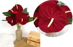 Zdjęcie Hurt 7&7 Bukiet Anturium Welurowych Czerwonych 46Cm 7Szt. Kwiatów - Nakło nad Notecią