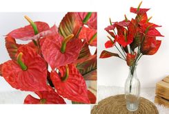 Zdjęcie Hurt 7&7 Bukiet Anturium Jesienne 40Cm Jasno Czerwony 12 Kwiatów - Nakło nad Notecią