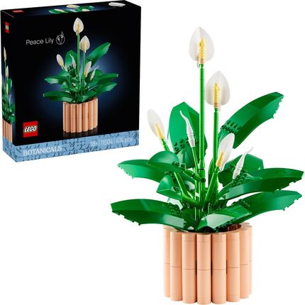 LEGO Botanicals 11504 Skrzydłokwiat