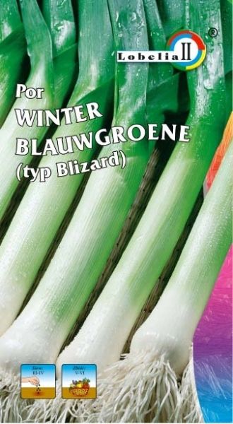 Por Blauwgroene Winter Typ BLIZARD 1 G Lobelia Ceny I Opinie