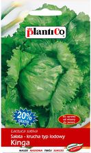 Zdjęcie Plantico Sałata Krucha Kinga - Prusice