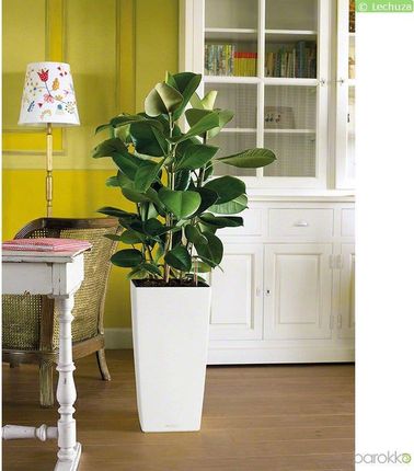 Lechuza CUBICO COLOR 3-13158 - zdjęcie 5