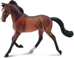 Zdjęcie Collecta Konie Klacz Thoroughbred Maści Bay (88477) - Płoty