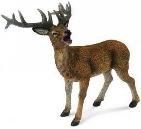 Zdjęcie Collecta Zwierzęta dzikie Jeleń Rogacz (88469) - Zielona Góra