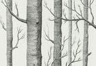Cole & Son Cole And Son Woods 69/12147