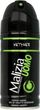 Gillette Eucalyptus Antyperspirant 70 Ml