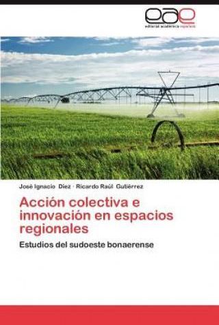 Acci N Colectiva E Innovaci N En Espacios Regionales Literatura