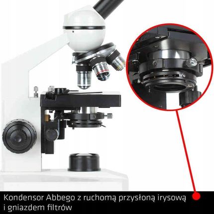 Delta Optical Mikroskop BioStage II (DO-3310) - zdjęcie 2