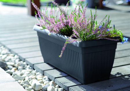 Prosperplast Skrzynka Balkonowa Terra Dtt600 60x25,7 Cm Antracytowy - zdjęcie 3