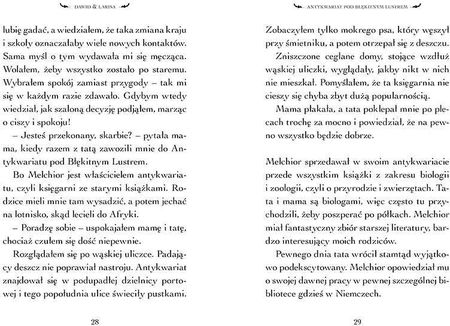 Antykwariat pod Błękitnym Lustrem. Dawid i Larisa. Tom 1 - zdjęcie 4