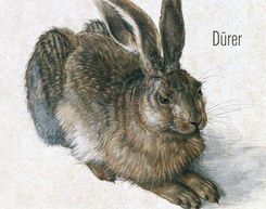 Zdjęcie Jacobson-Koenemann Albrecht Dürer - 5 reprodukcji w passe-partout - Skępe