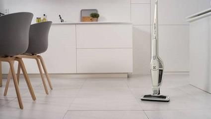 Electrolux Ergorapido ZB3102 Opinie I Ceny Na Ceneo Pl