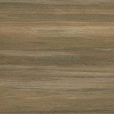 Zdjęcie Cersanit Ambio Pp207 Brown 25x40 - Małomice