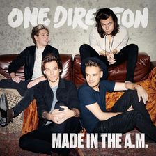 Zdjęcie One Direction Made In The A.M. (Winyl) - Rzeszów