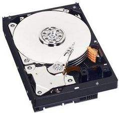 Zdjęcie WD Blue 500GB 3,5" (WD5000AZLX) - Skierniewice